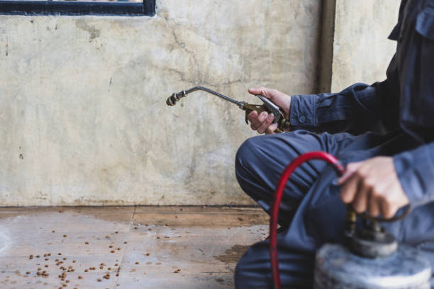 Best Mosquito Control Services  in Fillmore, UT